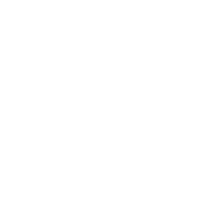 Ebony Forest Reserve Chamarel